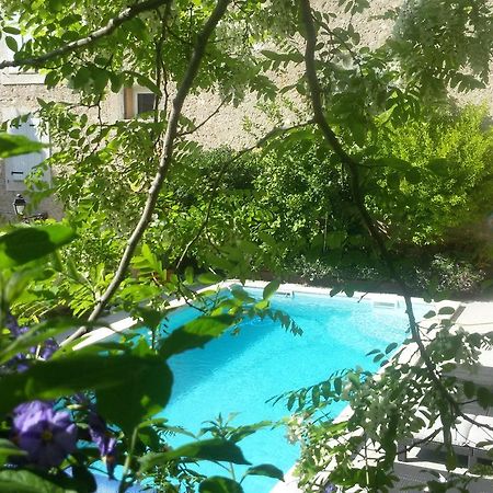 L'Ile Aux Mimosas Bed and Breakfast Tautavel Zewnętrze zdjęcie