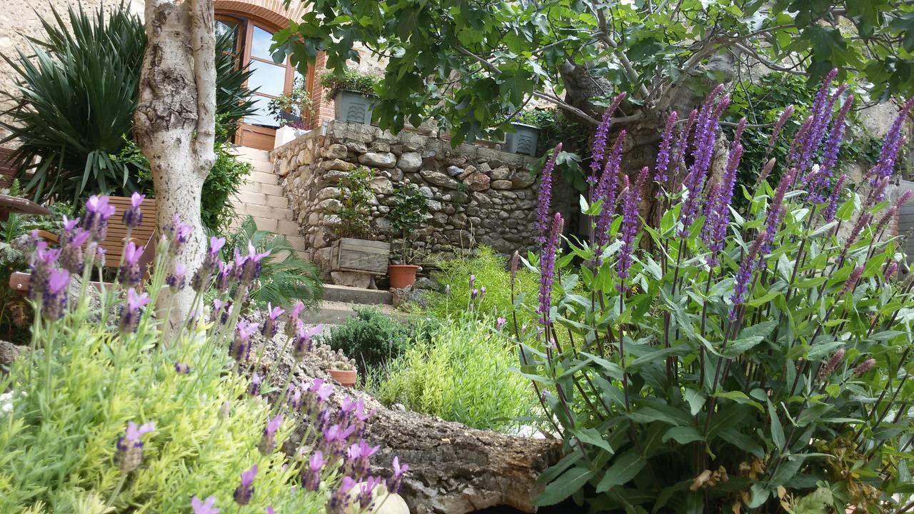 L'Ile Aux Mimosas Bed and Breakfast Tautavel Pokój zdjęcie